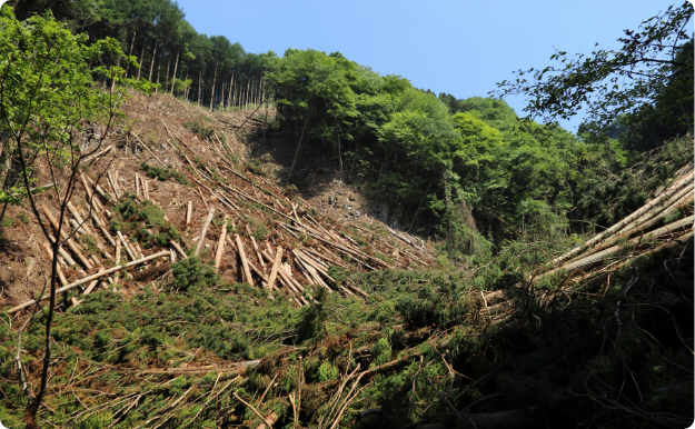 土砂崩れなど被災地調査